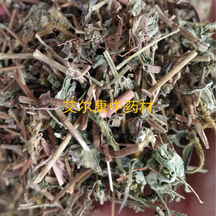 大飞扬草大乳草中药材节节图片