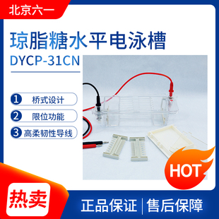北京六一琼脂糖水平电泳槽DYCP-31BN/CN/DN电泳仪DNA电泳槽