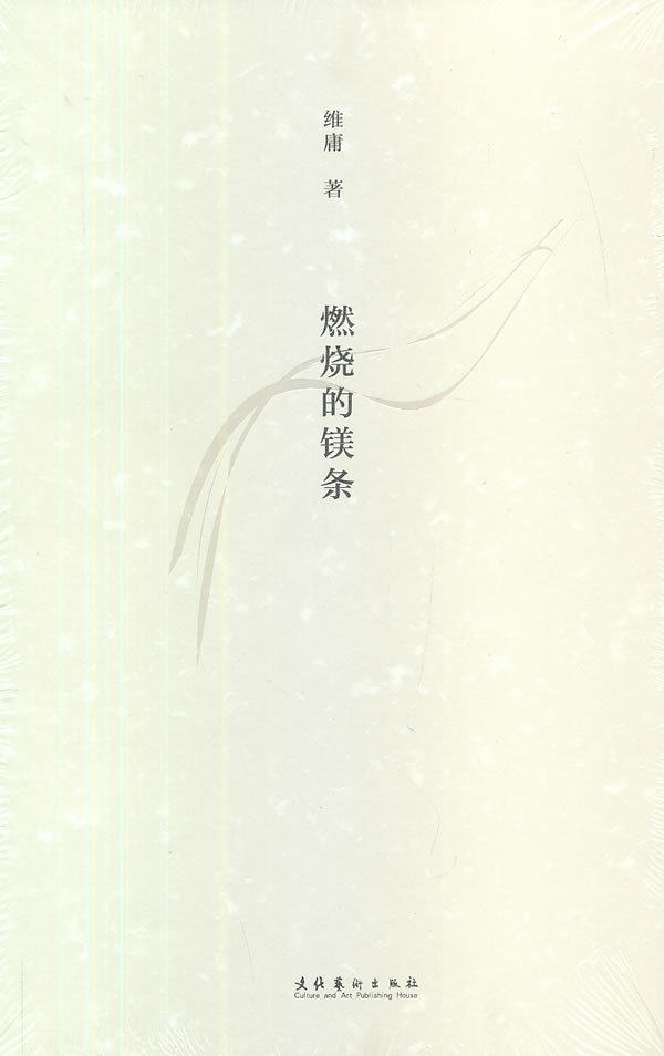 燃烧的镁条--收录了 诗人维庸生命最后一段岁月所创作的近两百首短诗。