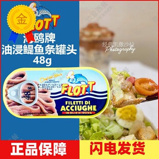 海鸥银鱼柳 包邮 非海中厨 5个 48g 意大利海鸥油浸鳀鱼条罐头
