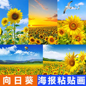 向日葵装 饰画花海海报向阳花太阳花自粘画客厅卧室餐厅墙贴画壁画