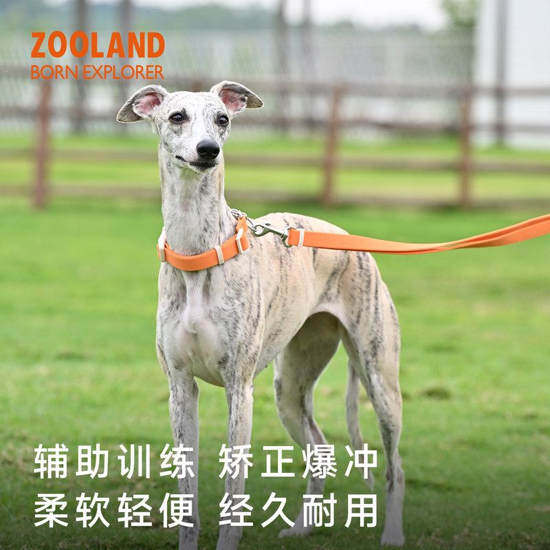 ZOOLAND脖圈项圈防爆冲P绳图片