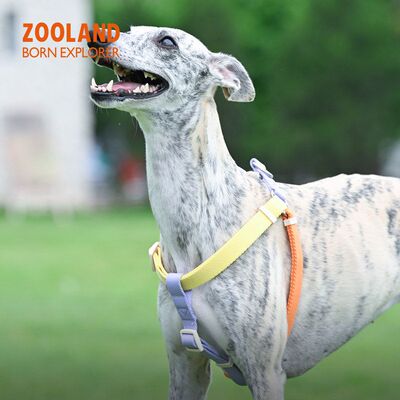 ZOOLAND胸背防爆遛狗背带可狗狗冲绳牵引绳犬调节胸狗绳防挣脱