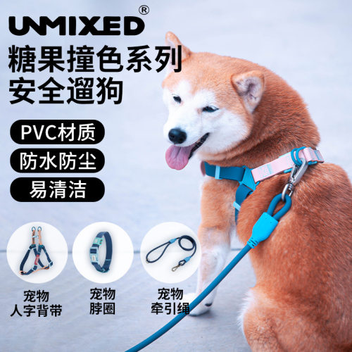 UNMIXED活力撞色牵引绳胸背项圈单拖带猫狗外出牵引绳泰迪柯基遛