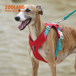 ZOOLAND宠物工字型小脖遛狗不勒专用狗狗中大型犬牵引绳胸背链子