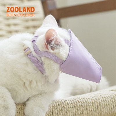 误食洗澡神器宠物猫闭嘴绝育安抚