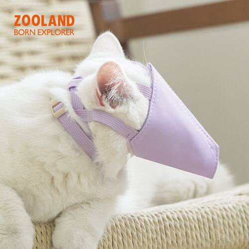 误食洗澡神器宠物猫闭嘴绝育安抚