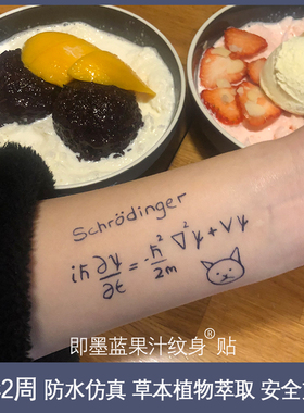 2张半永久薛定谔的猫果汁防水贴