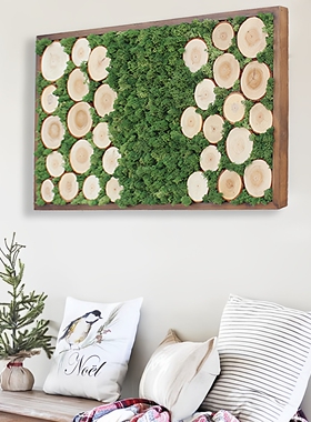 天然永生苔藓植物标本装饰画