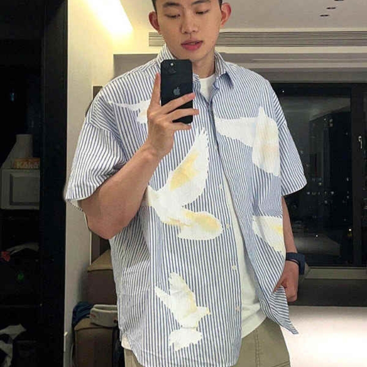 蓝色鸽子条纹衬衫短袖男夏季