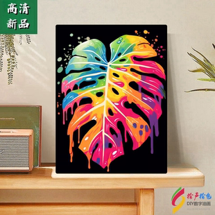 炫彩家大业大8丙烯颜料数字油画diy填色画高级感星空画装饰油彩画