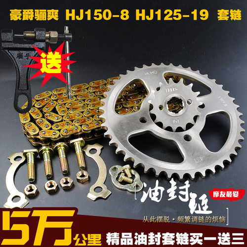 捷安特适配适用骊爽DA油封链条链盘HJ125-19/20套链HJ150-7/8提速