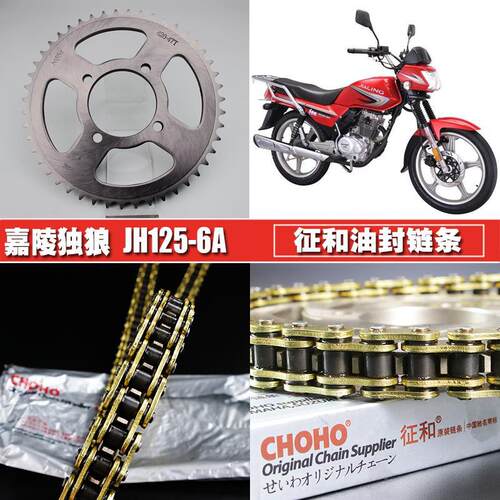 捷安特适配嘉陵独狼JH150-6/JH125-6A征和油封链条链盘套装大小