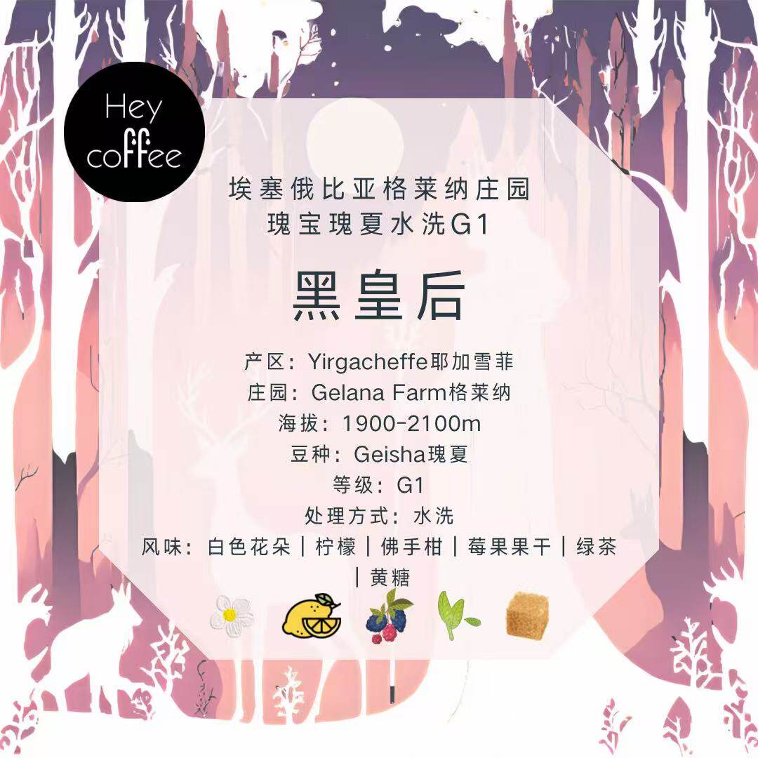 新品【黑皇后】埃塞耶加雪菲格莱娜庄园瑰宝瑰夏水洗干净顺滑果汁