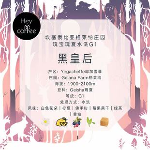 新品【黑皇后】埃塞耶加雪菲格莱娜庄园瑰宝瑰夏水洗干净顺滑果汁