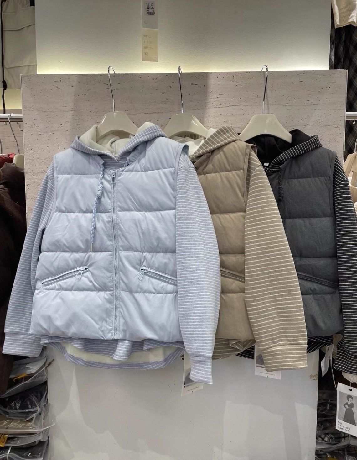 俏丽灵芝8120秋冬加绒减龄显瘦百搭休闲马甲+体恤连帽两件套女款