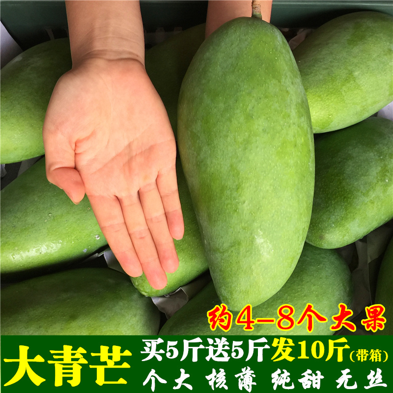 廣西百色大青芒 大芒果特大青芒果 當季新鮮包郵金煌芒果整箱10斤