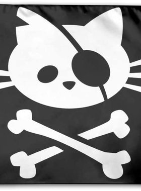 外贸货源Pirate Cat Skull and Crossbone Home Flag亚马逊WISH