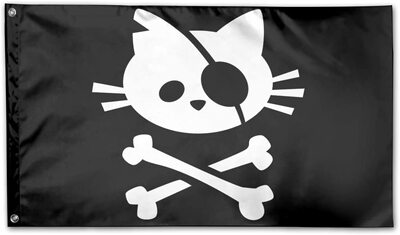 外贸货源Pirate Cat Skull and Crossbone Home Flag亚马逊WISH