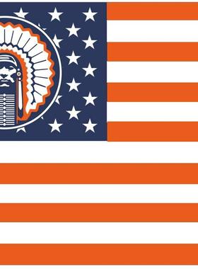 2But US Stars& Stripes Illinois Fighting亚马逊WISH EBAY热卖