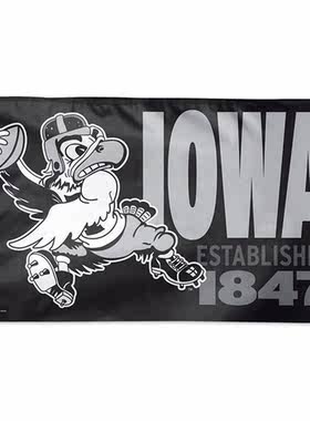 外贸货源爱荷华大学鹰眼 Iowa Hawkeyes Flag亚马逊WISH EBAY