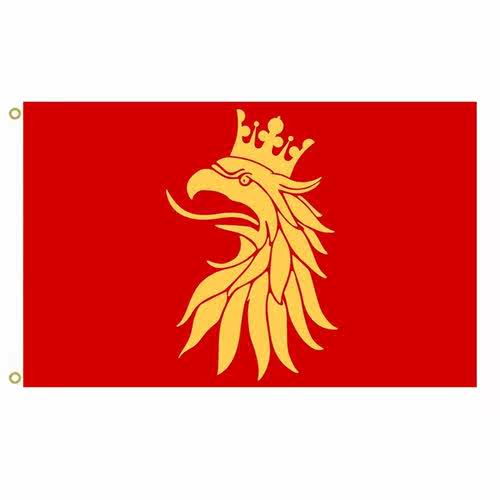 外贸货源斯科讷省旗帜 Skane County Flag亚马逊WISH EBAY热卖