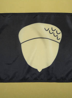 外贸货源Treasurer Yacht Club FLAG亚马逊 WISH EBAY热卖