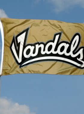 外贸货源汪达尔人NCAA Idaho Vandals House Flag亚马逊WISH EBAY