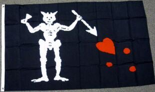 外贸货源爱德华教海盗EDWARD TEACH PIRATE FLAG亚马逊WISH EBAY