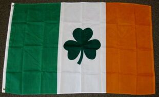 外贸货源爱尔兰标志IRISH SHAMROCK FLAG亚马逊 WISH EBAY热卖