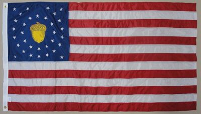 外贸货源旗帜14th Corps Headquarters 1863 FLAG亚马逊WISH EBAY