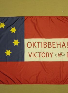 15th Mississippi Infantry Oktibbeha Plow Boys Historic flag