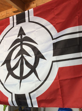 外贸Mobile Suit Gundam Principality of Zeon Flag亚马逊 EBAY