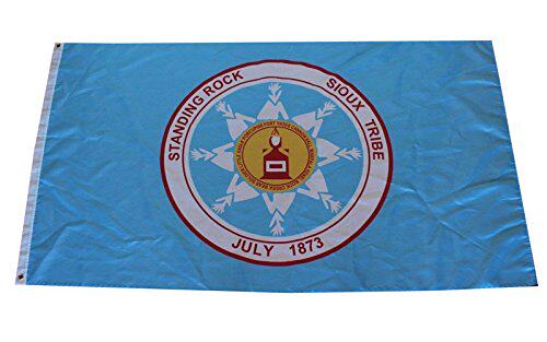 2But Standing Rock Sioux Tribal flag banner亚马逊 WISH EBAY