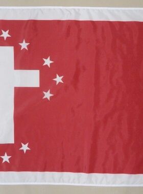 外贸货2nd Texas TX Inf Reg Maury's Div FLAG亚马逊 WISH EBAY