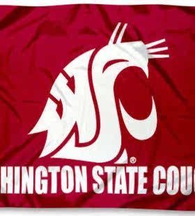 外贸华盛顿州美洲狮队旗Washington State Cougars Flag