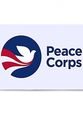 2But Peace Corps Flag Banner 3x5Feet亚马逊WISH EBAY热卖