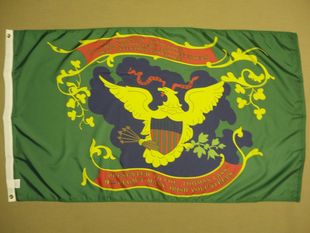 Brigade Regiment Historical 外贸9th WISH Irish FLAG EBAY