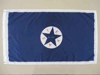外贸货源6th & 15th Texas Infantry Regiment Historical FLAG