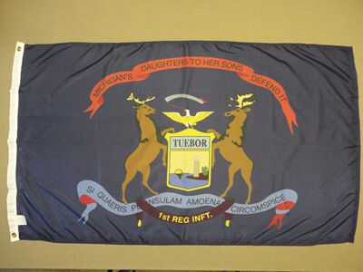 外贸货1st Michigan Infantry Regiment Historical FLAG亚马逊