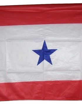 One Blue Star Military Service Knitte Flag亚马逊WISH EBAY