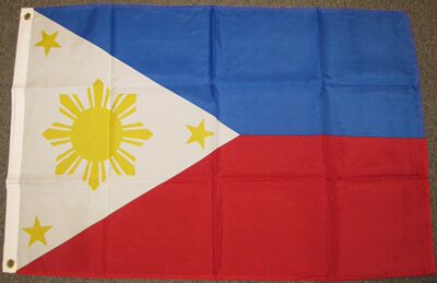 外贸货源菲律宾国旗PHILIPPINES FLAG亚马逊WISH EBAY热卖