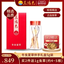 5根 虫草干货4 东阳光冬虫夏草 生态繁育 正品 无断草5g礼盒装