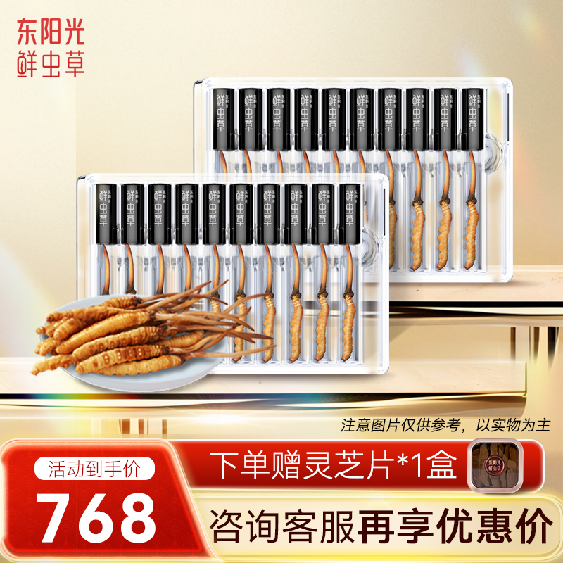 东阳光冬虫夏草正品新鲜