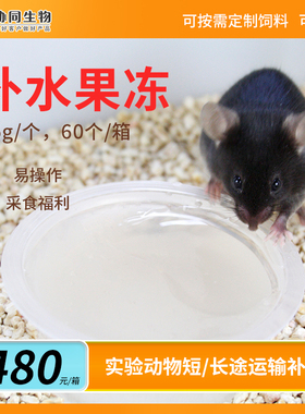 协同生物实验用大鼠小鼠补水凝胶运输用辐照灭菌整箱XTW01-018