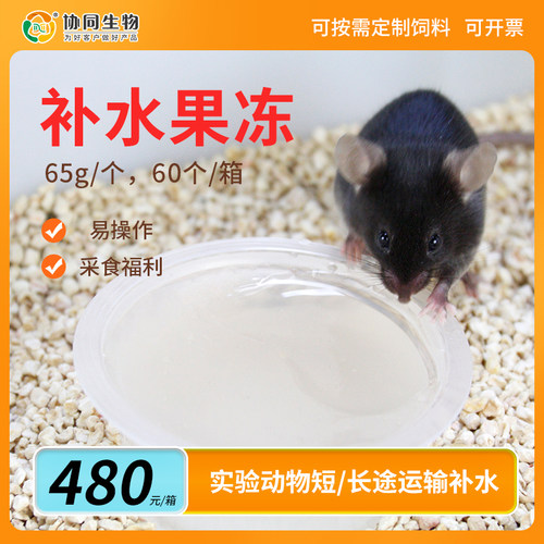 协同生物辐照灭菌实验鼠补水透明