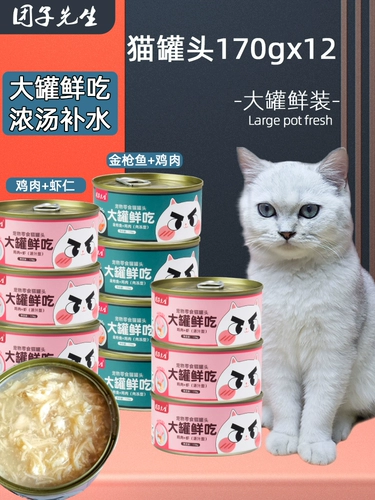 Г -н Туанзи Консервированные кошки 170G*12 банок Основные пищевые банки Питание и увлажняет в котят кошки закуски мокрого зерна