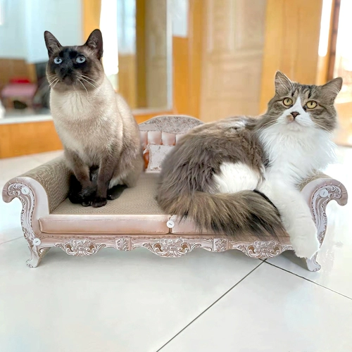 Кошка диван кошка захват кошка кошачья кошка кошка кошка с гофрированной бумагой -резистентная кошачья коробка