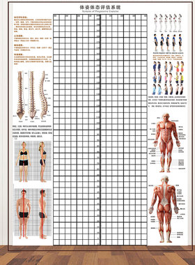 贴式体态评估表体测健身房私教身体矫正网格中医工作室背景墙纸图