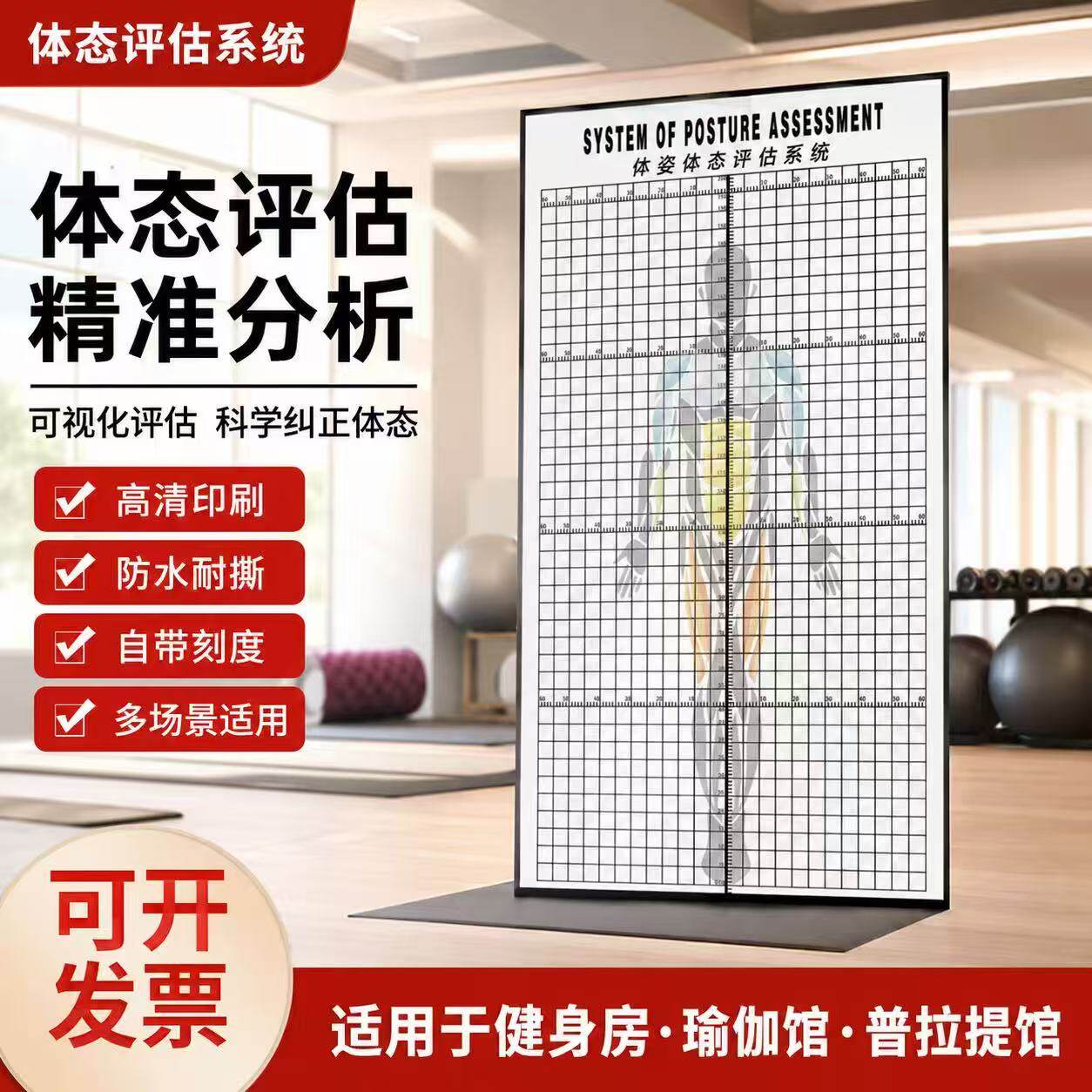 体态评估表健身房壁纸画瑜伽馆中医工作室人体站姿体测图体姿表格